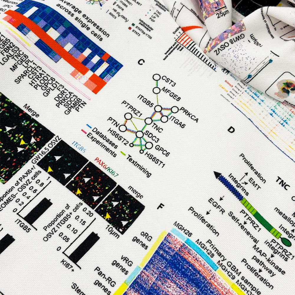 Pleasures TextBook Hoodie